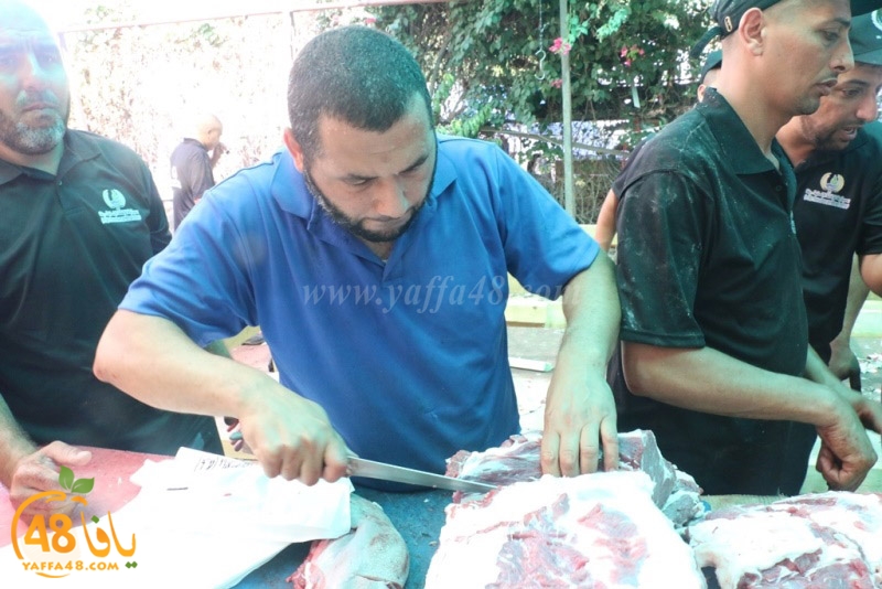 lod8om ada73y (30).JPG